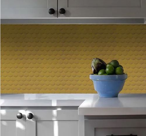 REVEST MAX COLMÉIA GENGIBRE BLISTER