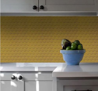 REVEST MAX COLMÉIA GENGIBRE BLISTER